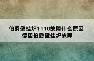 伯爵壁挂炉1110故障什么原因 德国伯爵壁挂炉故障